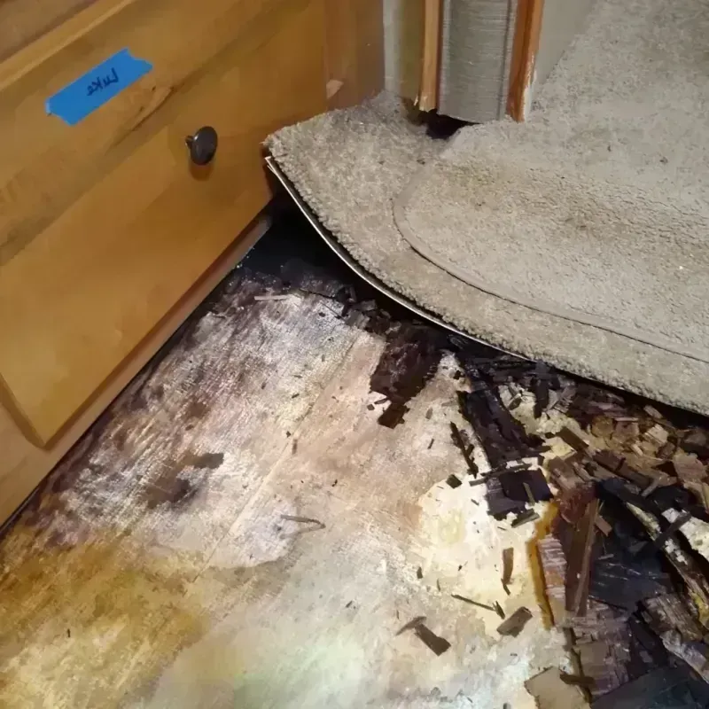 Best Wood Floor Water Damage Service in Cimarron, KS